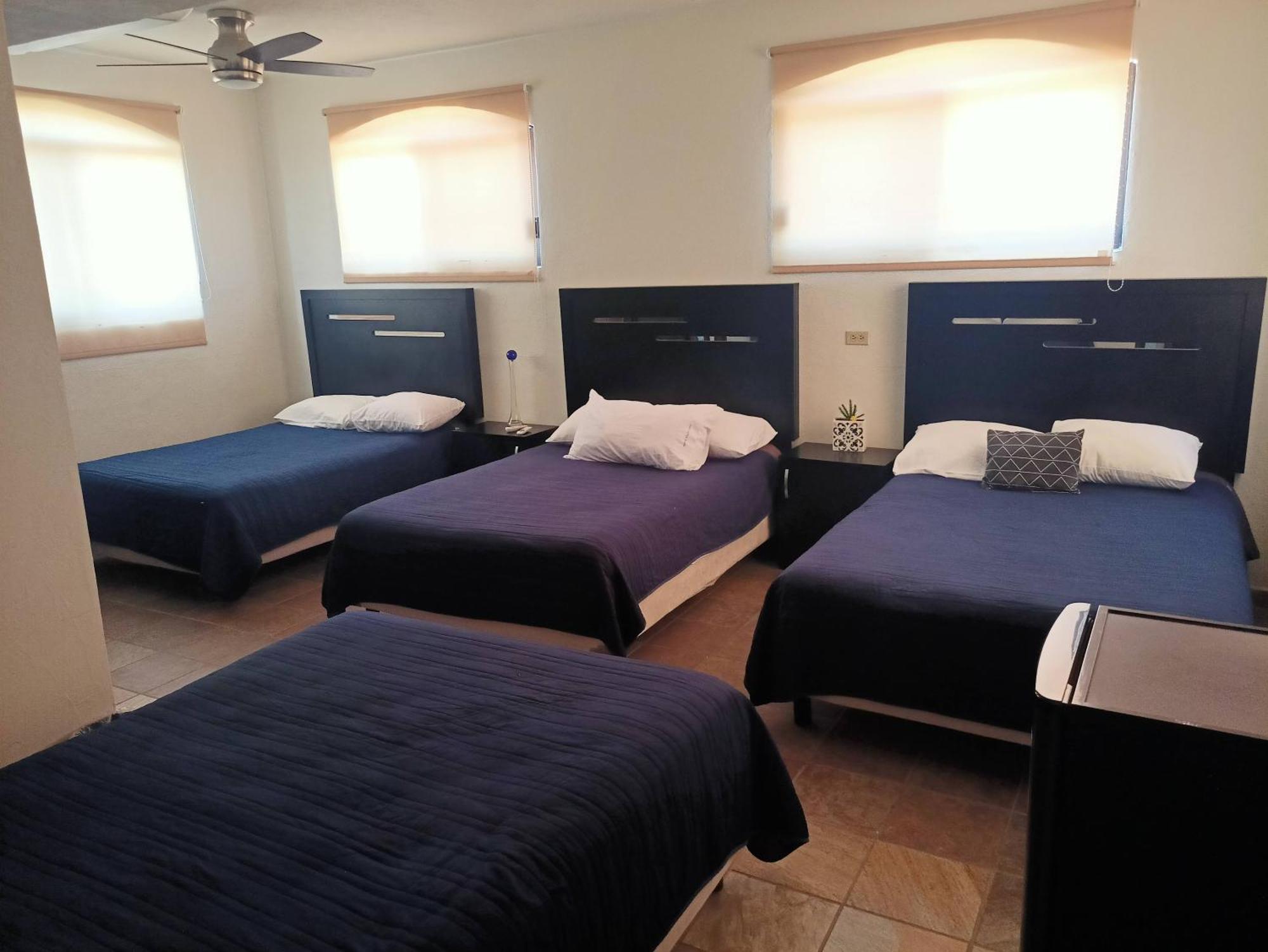 Hostal San Jose San José del Cabo Zewnętrze zdjęcie